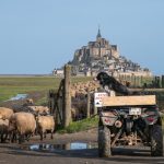 Club photo novembre, image2