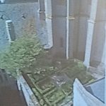 Image14