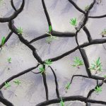 Philippe Guegan Le printemps (2)